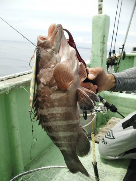康仁丸・ジギング釣り果